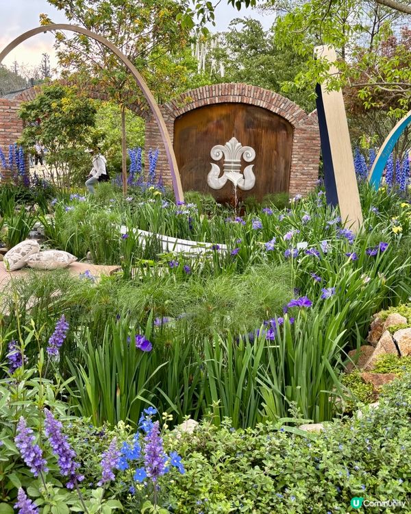 🌸 2026 粵港澳大灣區花展 (深圳)