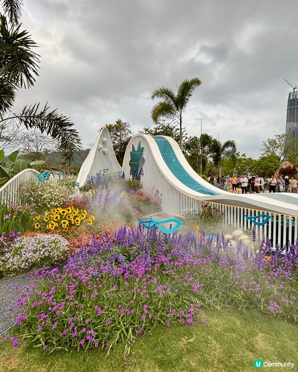 🌸 2026 粵港澳大灣區花展 (深圳)