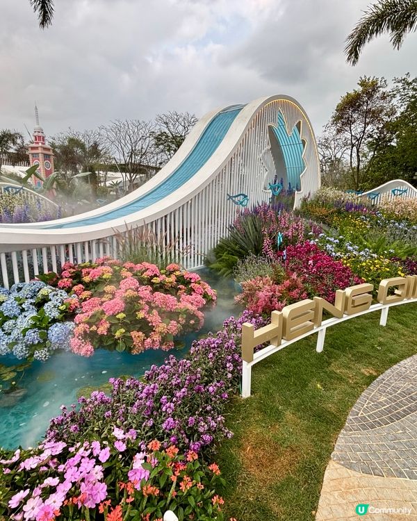 🌸 2026 粵港澳大灣區花展 (深圳)