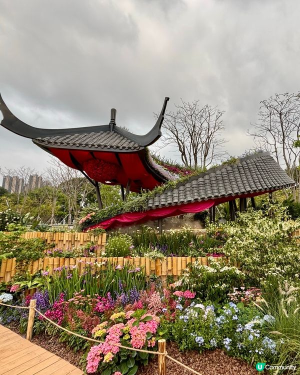 🌸 2026 粵港澳大灣區花展 (深圳)