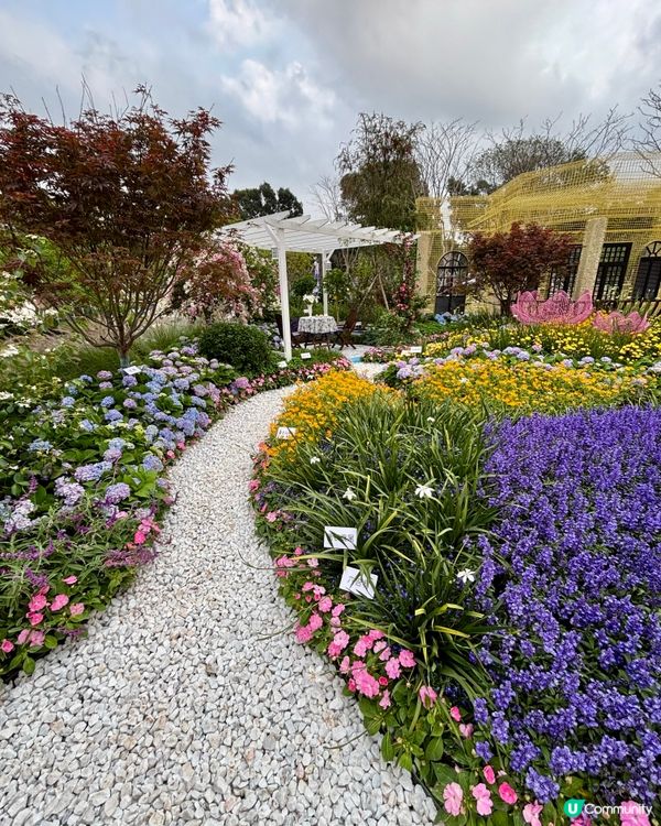 🌸 2026 粵港澳大灣區花展 (深圳)