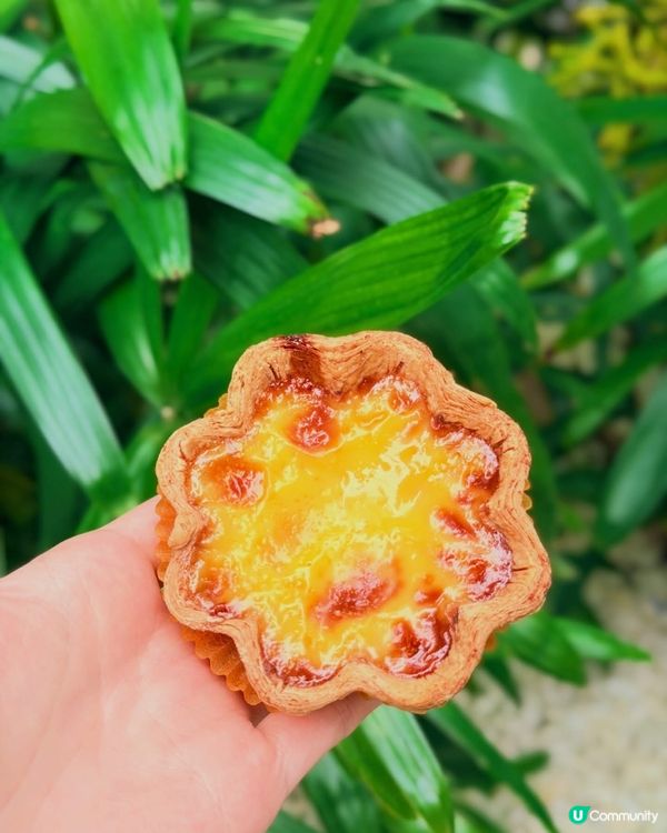 創新麵包☕️😍💖