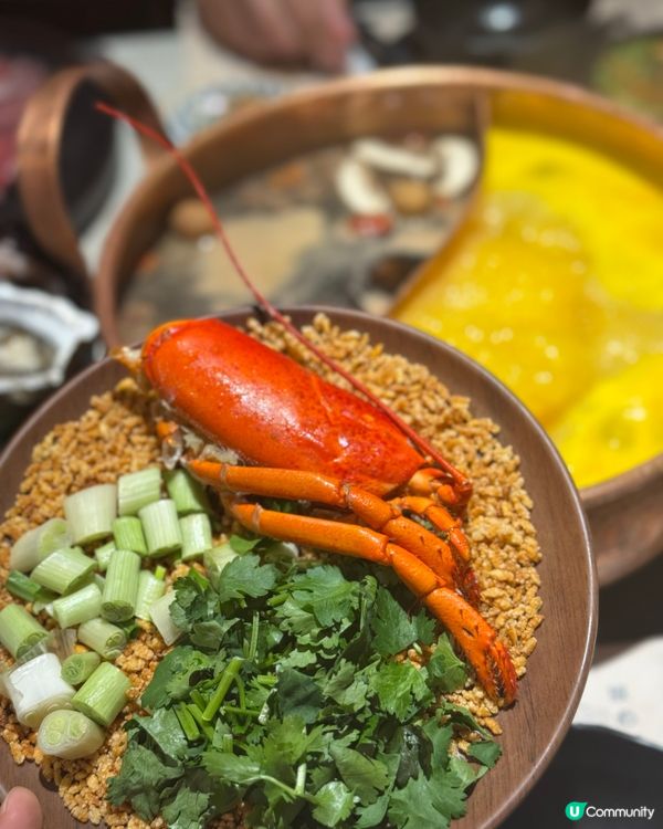 想食新意火鍋？🍜牛大人養生滋補湯底✨