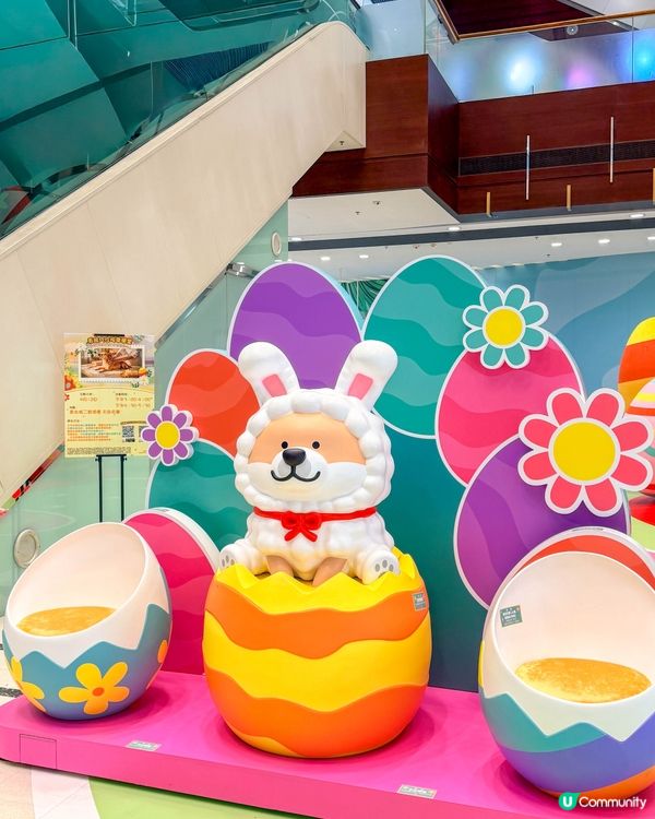 香港遊｜青衣城 x SHIBANBAN