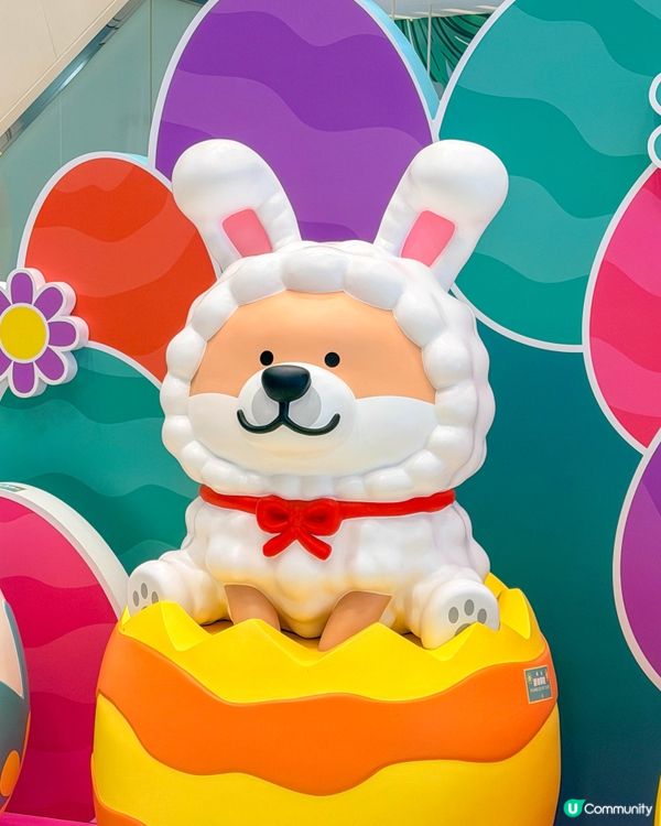 香港遊｜青衣城 x SHIBANBAN