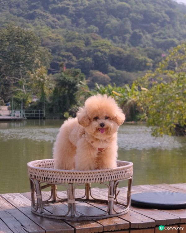 大嶼山自駕遊😆🚙來一個不一樣的香港一日遊