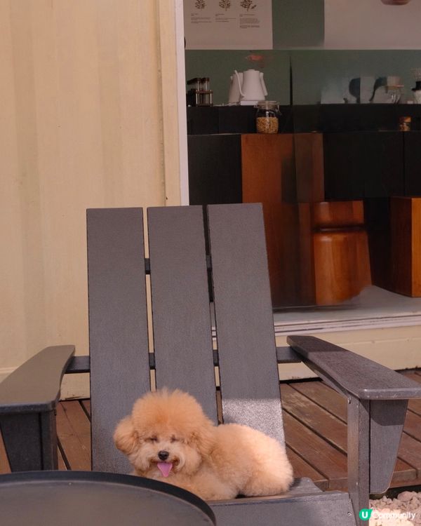 大嶼山自駕遊😆🚙來一個不一樣的香港一日遊