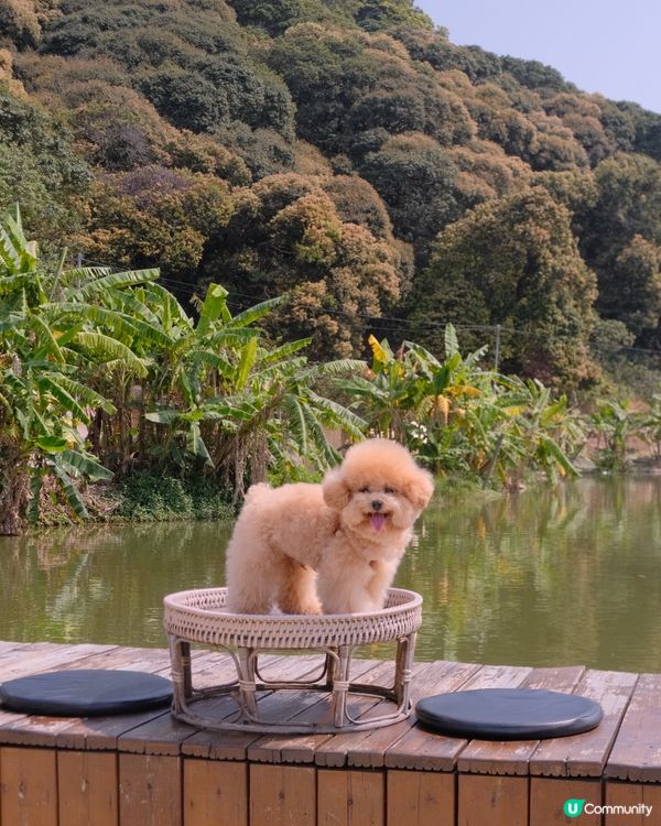 大嶼山自駕遊😆🚙來一個不一樣的香港一日遊