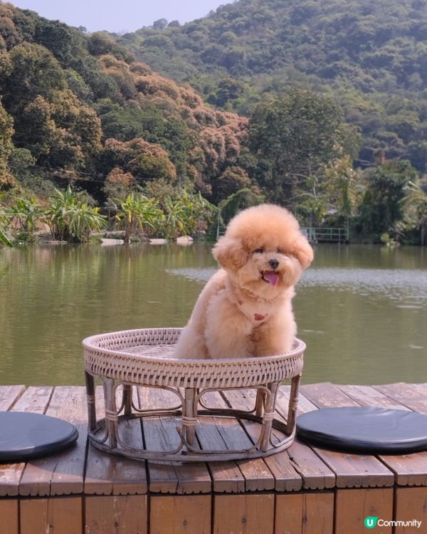 大嶼山自駕遊😆🚙來一個不一樣的香港一日遊