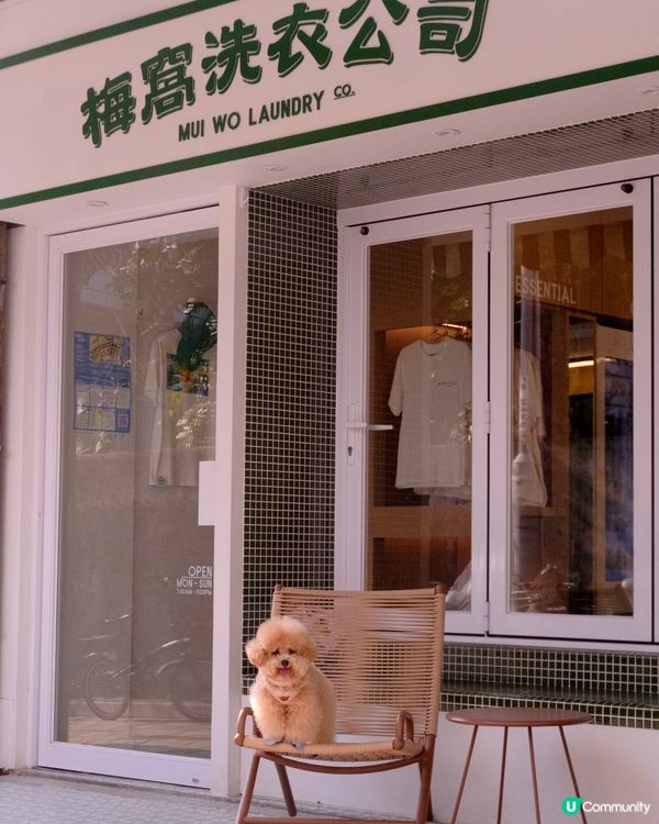 大嶼山自駕遊😆🚙來一個不一樣的香港一日遊