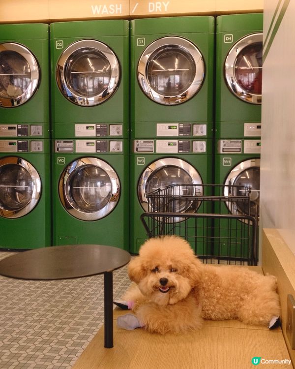 大嶼山自駕遊😆🚙來一個不一樣的香港一日遊