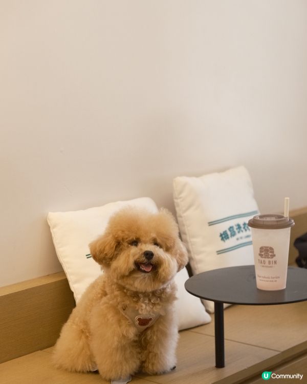 大嶼山自駕遊😆🚙來一個不一樣的香港一日遊