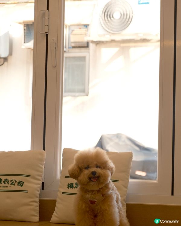 大嶼山自駕遊😆🚙來一個不一樣的香港一日遊