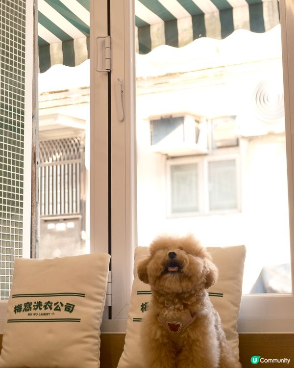 大嶼山自駕遊😆🚙來一個不一樣的香港一日遊