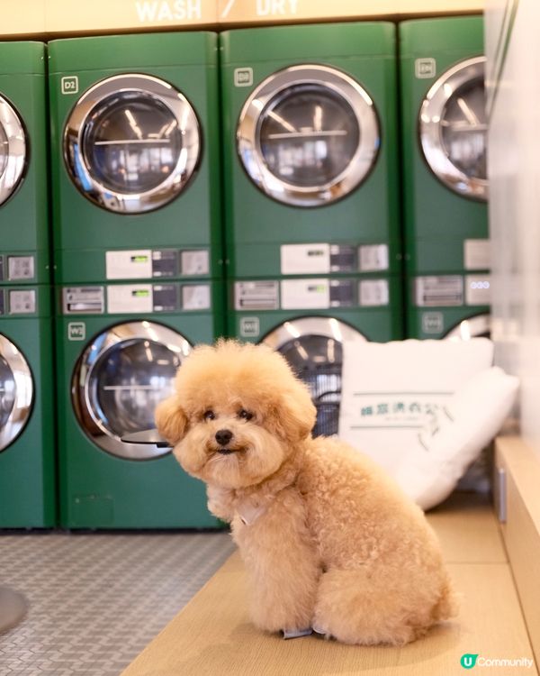 大嶼山自駕遊😆🚙來一個不一樣的香港一日遊