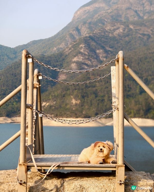 大嶼山自駕遊😆🚙來一個不一樣的香港一日遊