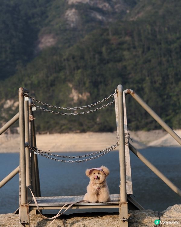 大嶼山自駕遊😆🚙來一個不一樣的香港一日遊