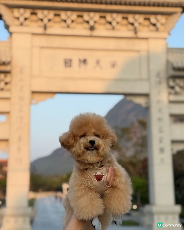 大嶼山自駕遊😆🚙來一個不一樣的香港一日遊