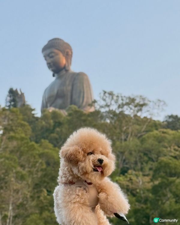 大嶼山自駕遊😆🚙來一個不一樣的香港一日遊