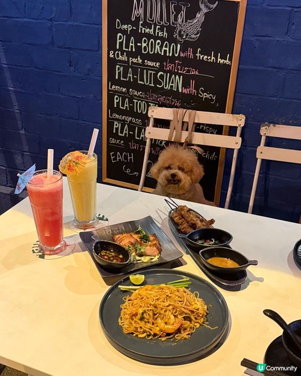 大嶼山自駕遊😆🚙來一個不一樣的香港一日遊