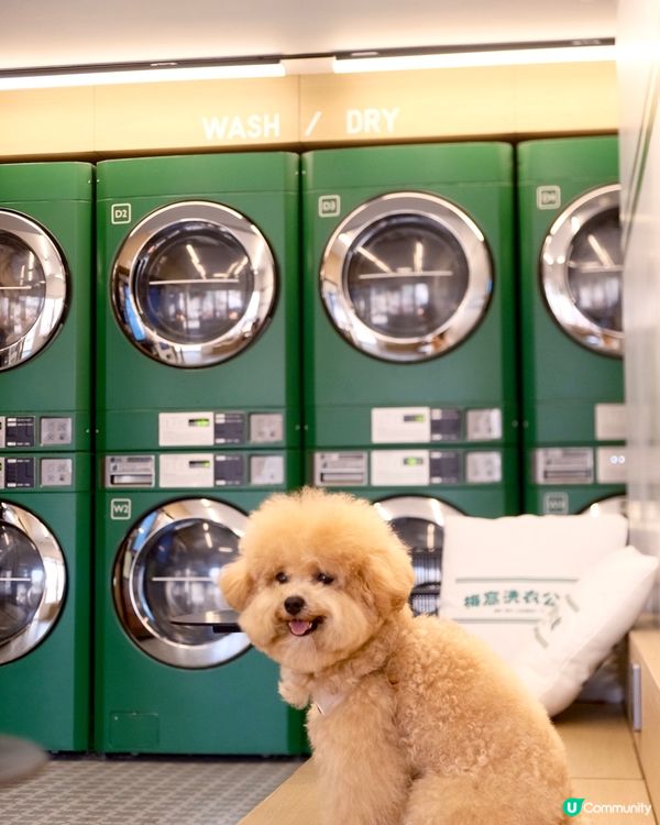 大嶼山自駕遊😆🚙來一個不一樣的香港一日遊