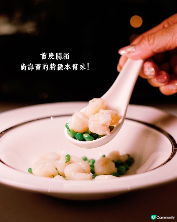 尚海薈朝聖🍽️味覺華麗遊！🤤