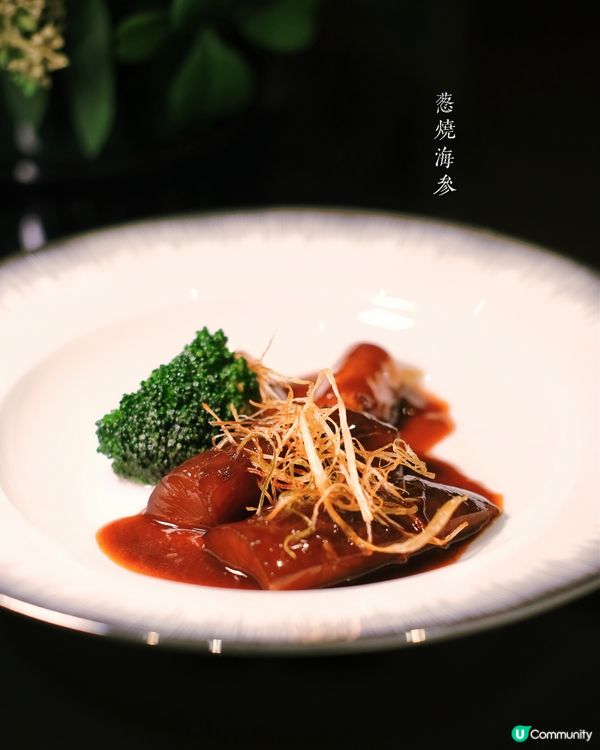 尚海薈朝聖🍽️味覺華麗遊！🤤