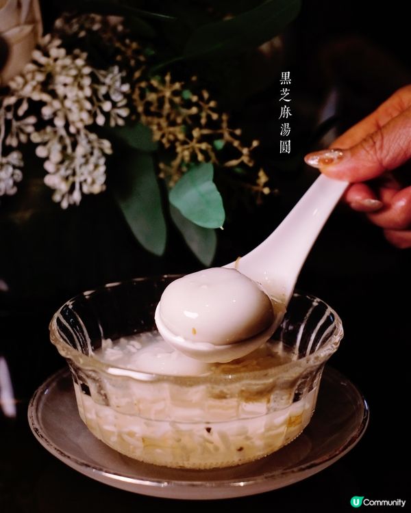 尚海薈朝聖🍽️味覺華麗遊！🤤