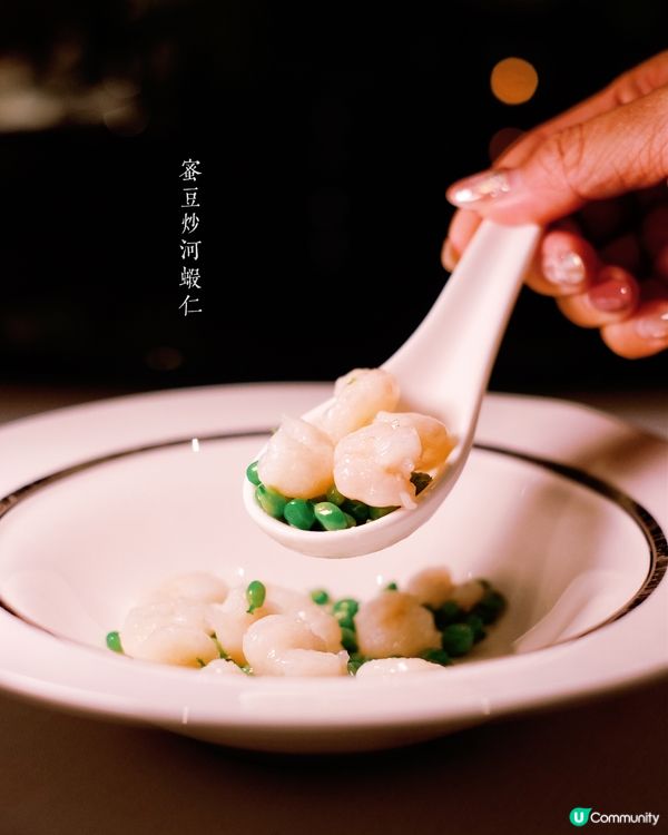 尚海薈朝聖🍽️味覺華麗遊！🤤