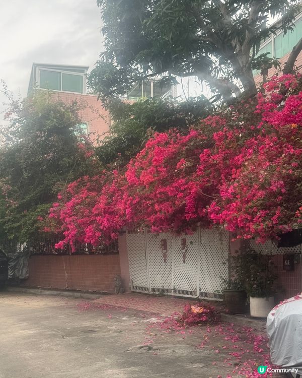 復活節hea住歎簡便午餐