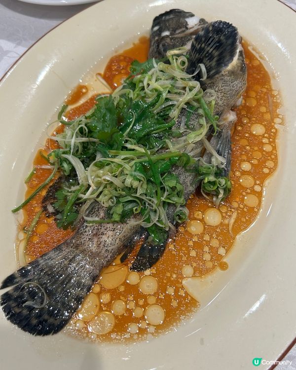 上環寶藏！💎 必食粵菜🐠🦐