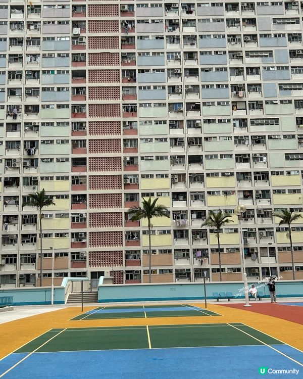 牛池灣村新龍城茶樓飲早茶。再去彩虹邨打卡