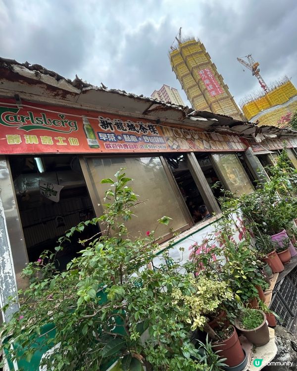 牛池灣村新龍城茶樓飲早茶。再去彩虹邨打卡