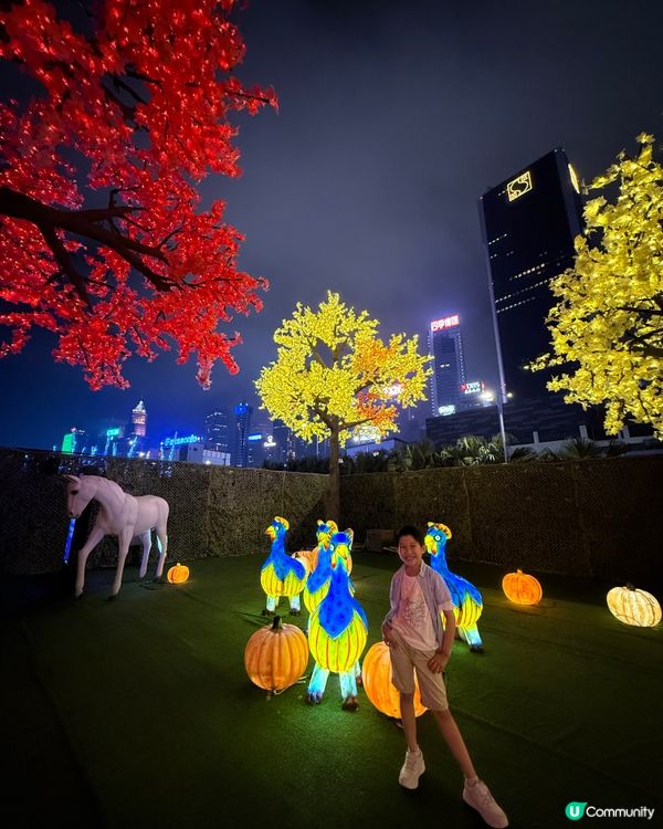 復活節打卡好去處！🤩 光影樂園靚到爆！✨