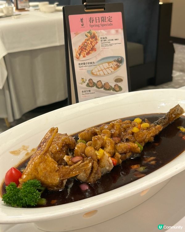 長假期尾聲☔️莆田嚐鮮🥢🤤