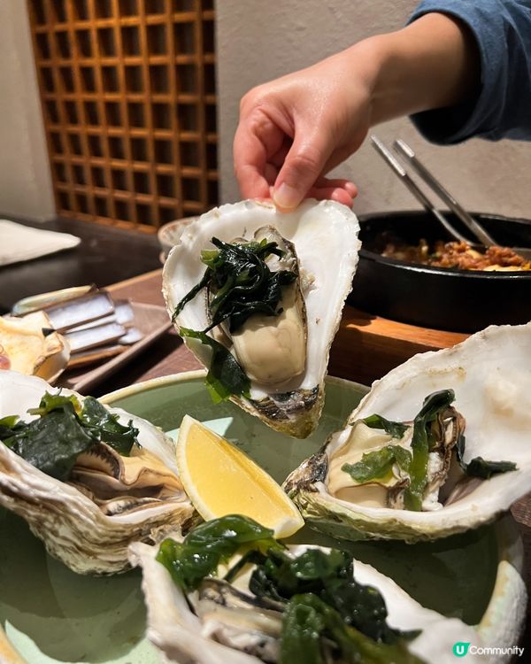 ʚ♡ 濟州食材打造韓國風味料理 • 韓式居酒屋 ♡ɞ