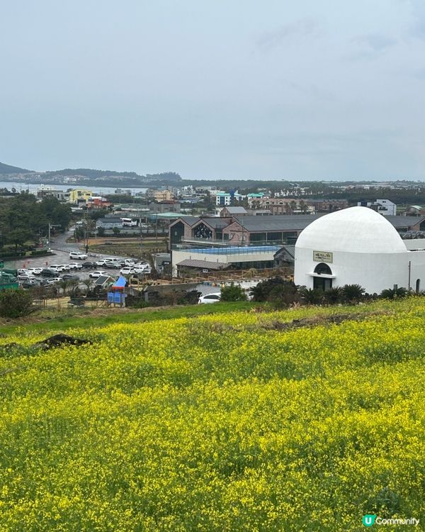 春日濟州島微旅行：沉醉絕美海景與療癒咖啡廳，拍出韓系打卡大片