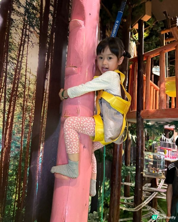 來自台灣嘅深圳室內兒童遊樂場🛝