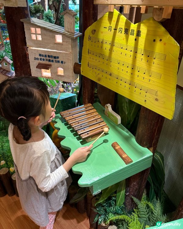 來自台灣嘅深圳室內兒童遊樂場🛝