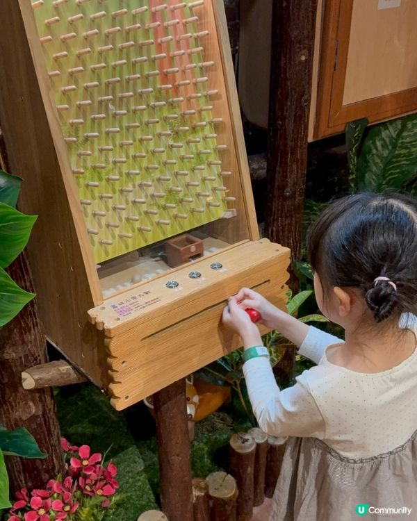 來自台灣嘅深圳室內兒童遊樂場🛝