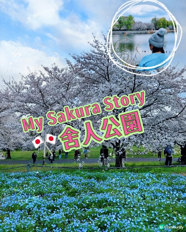 🇯🇵🌸我愛花花🌸之舍人公園悠悠閒賞賞櫻🌸