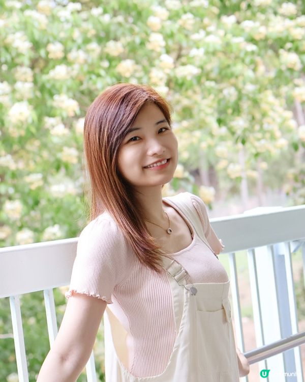 香港四月限定—魚木花盛開☘️