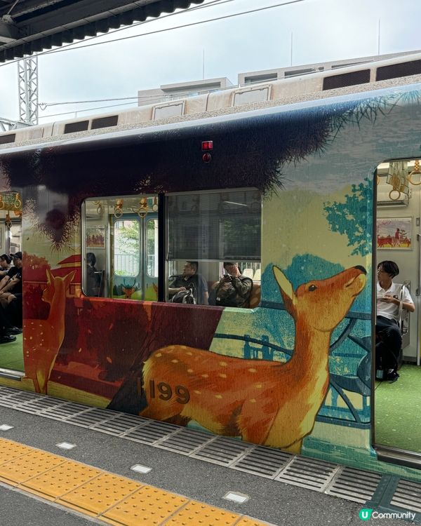 大阪去奈良❓近鐵奈良鹿電車🚆🦌勁方便！