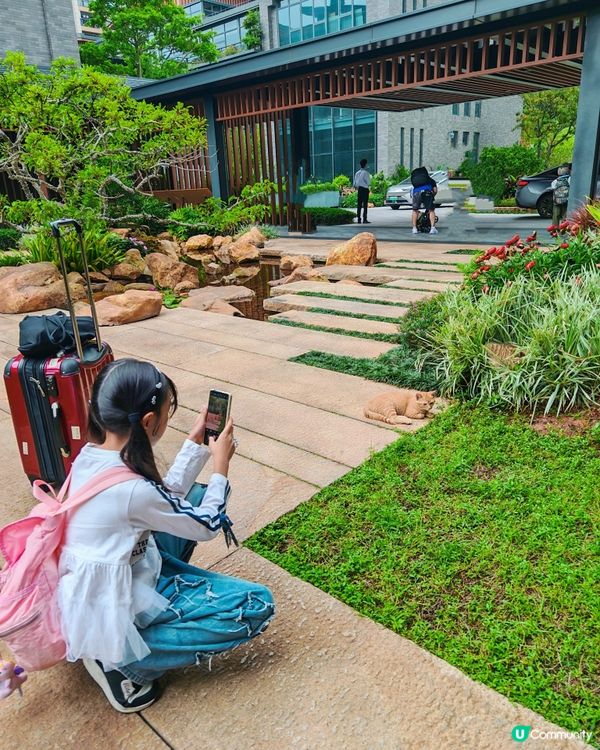深圳親子好去處|無敵景色泳池