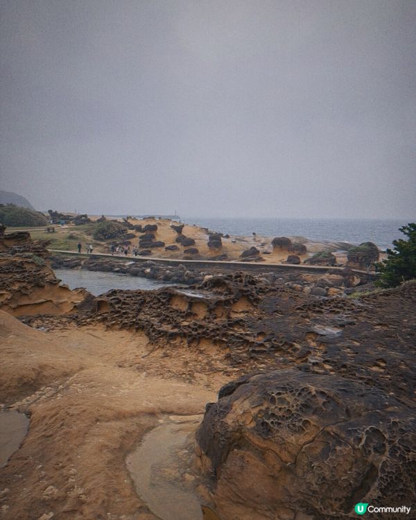 野柳獨遊：靜聽浪聲！🌊😌