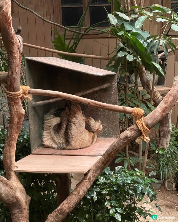 多謝Ulifestyle送海洋公園門票😘