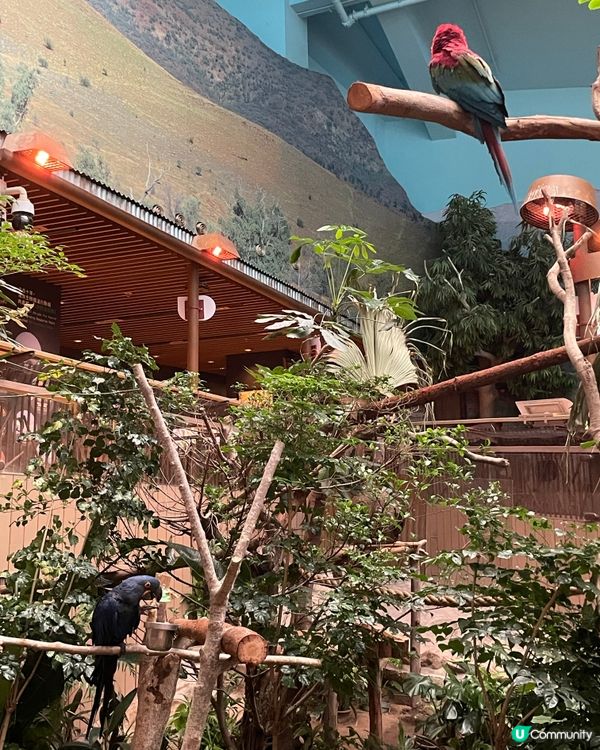 多謝Ulifestyle送海洋公園門票😘