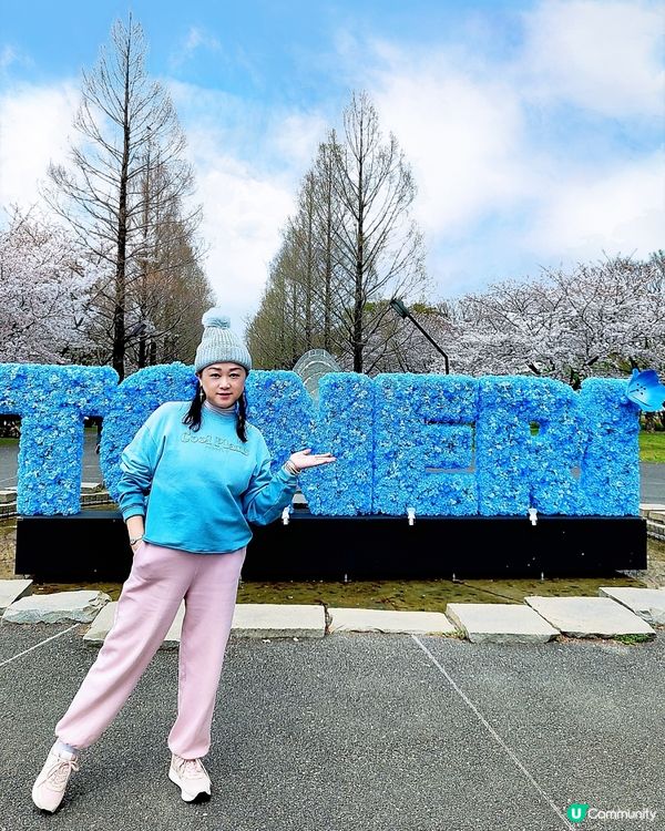 🇯🇵🌸我愛花花🌸之舍人公園悠悠閒賞賞櫻🌸