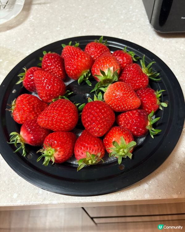 韓國釜山美食