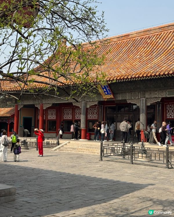 2026北京故宮博物院超全參觀攻略